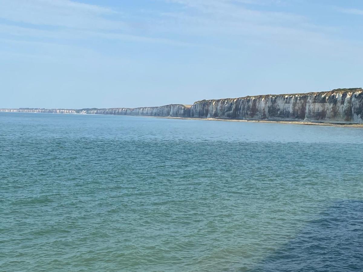 Les Gites Du Chateau Du Cedre Manneville-es-Plains Luaran gambar
